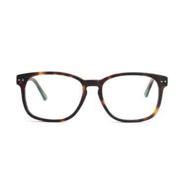 JACK & FRANCIS FR222 BLAKE MATT MOONLIGHT TORTOISE